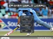 Play Cricket world jigsaw