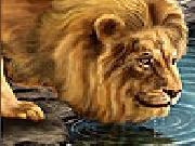 Play Big thirsty lion slide puzzle