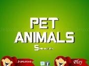 Play Pet animals similarities