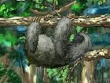 Play Super sloth