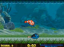 Play Fish racing