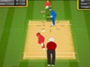 Play Ipl cricket 2013