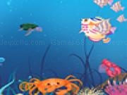 Play Sea decoration now