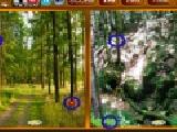 Play Forest similarities game