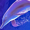 Play Fantasy blue sea dolphins puzzle