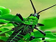 Play Green insect slide puzzle