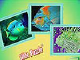 Play Nteresting ocean fishes puzzle