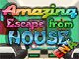 Play Amazing escape from house