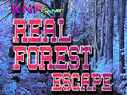 Play Real Forest Escape