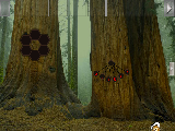Play Amazing redwood forest escape