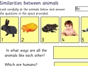 Play Similarities between animals