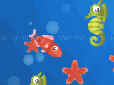 Play Star Fish now