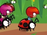 ladybird racing