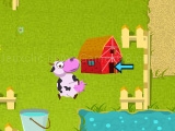 Play Crazy cow