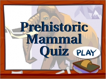Prehistoric mammal quiz