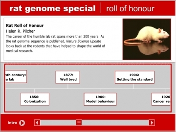 Rat genome special