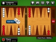 Play 247 Backgammon