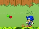 Sonic in Garden