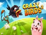Play Crazy birds 2