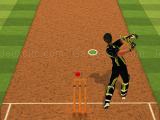 Play Cricket batter challenge