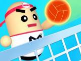 Play 3d amazing volleyball