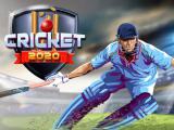 Play Cricket 2020 now