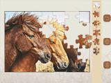 Play Jigsaw puzzle: horses edition