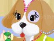 Play Color Girl and Cute Pet