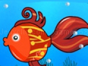 Play Aquarium Decoration now