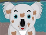 Play Cute Baby Koala Care now