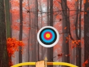 Play Hidden Targets-Red Forest