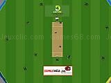 Play Cricket master blaster now