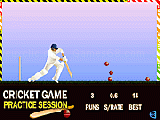 Play Cricket game now