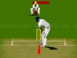 Play Virtual cricket now
