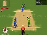Play World cricket now