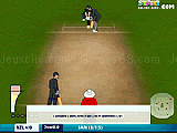 Play Online cricket 2011 now