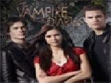 Vampire diaries race against the dawn