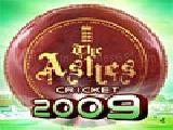 Play The ashes cricket 2009 now
