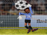 Ragdoll goalkeeper