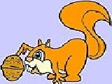 Squirrel and walnuts coloring