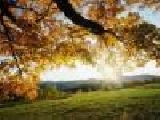 Puzzle natural landscapes - 1