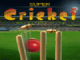 Play Supercricket now