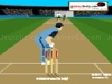 Play Cricket-master blaster now