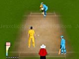 Play World cricket 2011 now