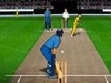 Play Cricket championship 2008 now