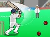Play Ashes 2 ashes: zombie cricket now