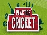 Play Practice cricket now