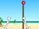 Play Dalmatian volleyball now