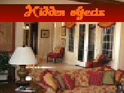 Play Hidden objects
