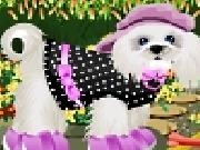 Play Cute puppy dressup